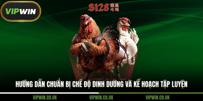 Hướng dẫn chuẩn bị chế độ dinh dưỡng và kế hoạch tập luyện