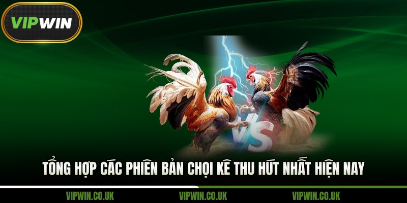 Tổng hợp các phiên bản chọi kê thu hút nhất hiện nay
