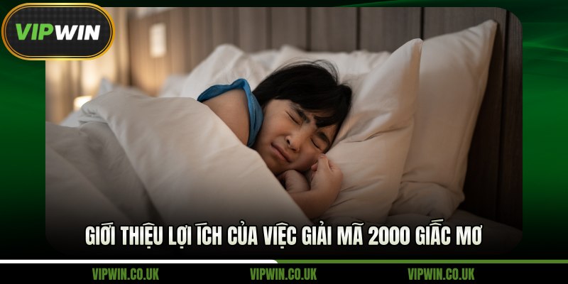 Giới thiệu lợi ích của việc giải mã 2000 giấc mơ 