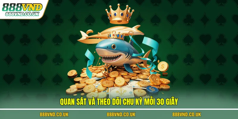 Quan sát và theo dõi chu kỳ mỗi 30 giây
